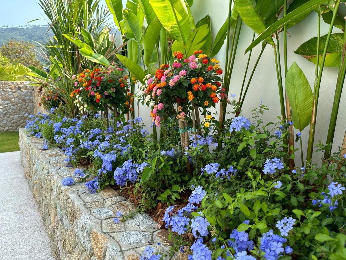 Blossom Villa - Lamai, Koh Samui - Entire Villa Ban Thung  Exteriör bild